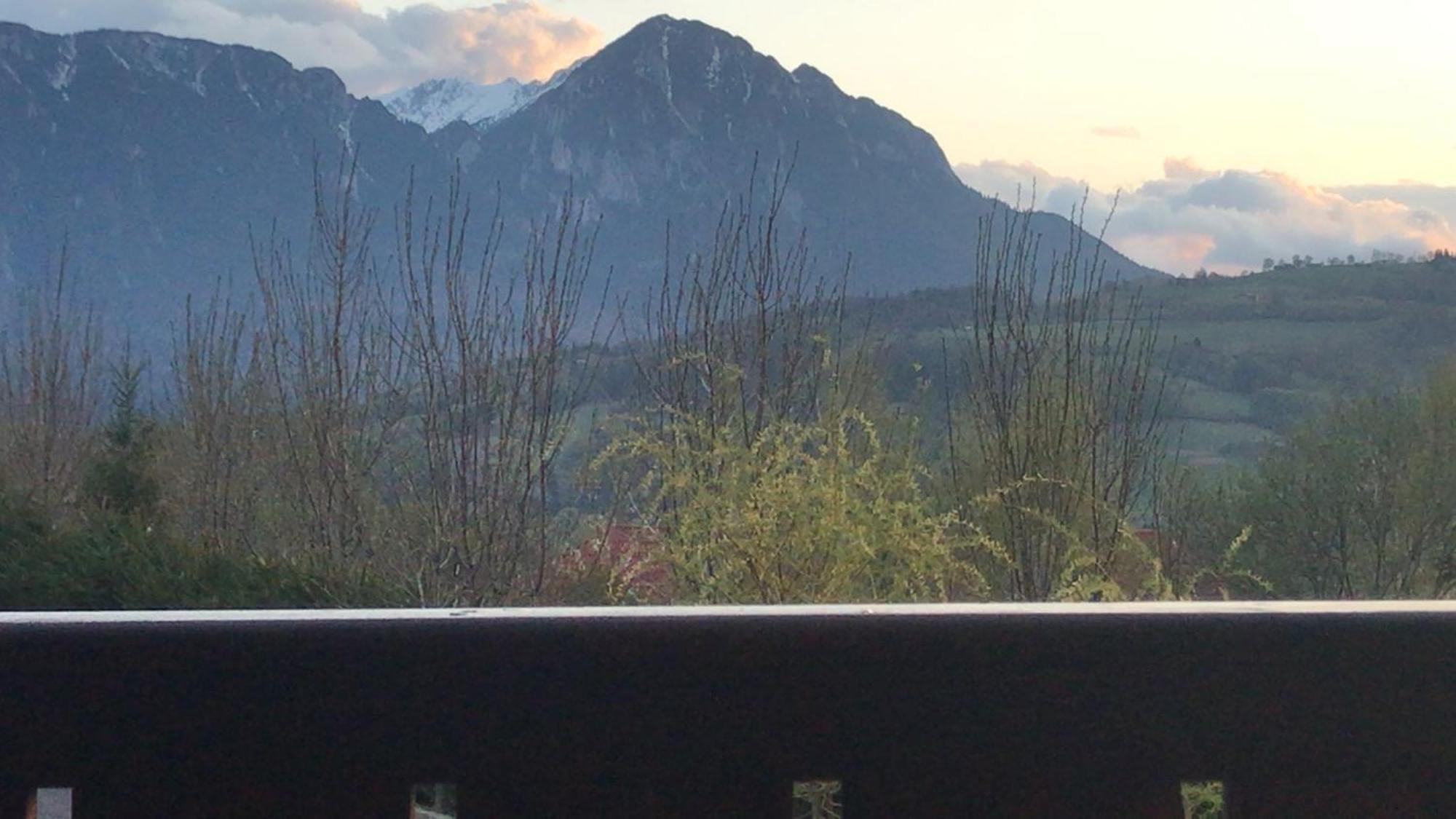 Pension Chalet Poiana Marului Ranch ภายนอก รูปภาพ